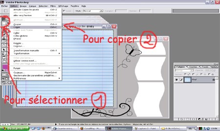 Tuto_template_capture_3_copier