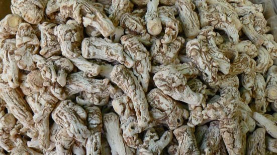 danggui