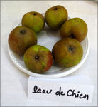 10_pommes_peau_de_chien