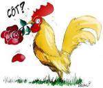 blog-coq-rugby