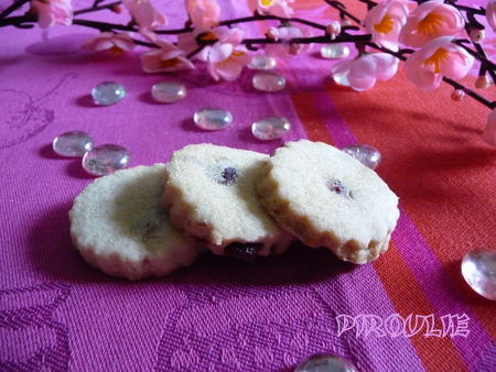 biscuits_cranberries__4_