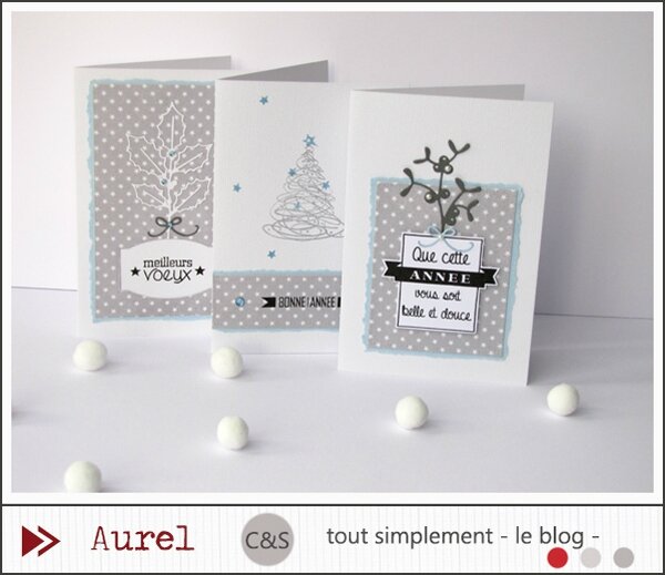 031214 - Cartes de Voeux_1