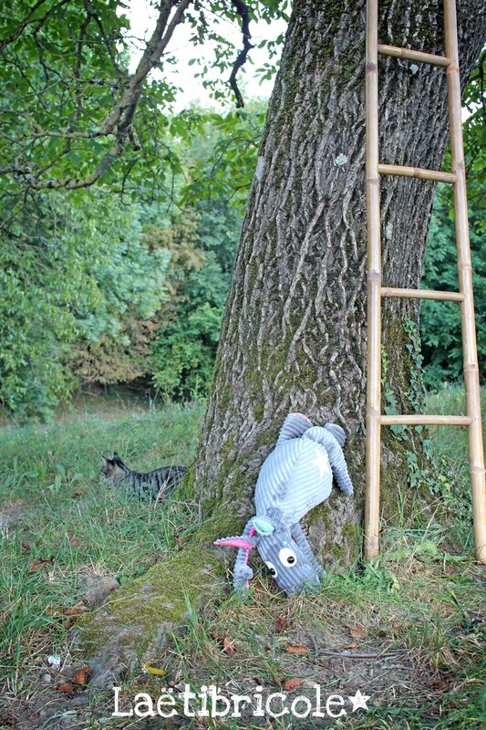loup platre 3