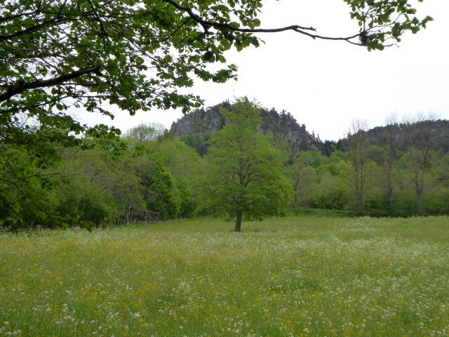 a38