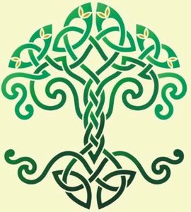arbre celtic