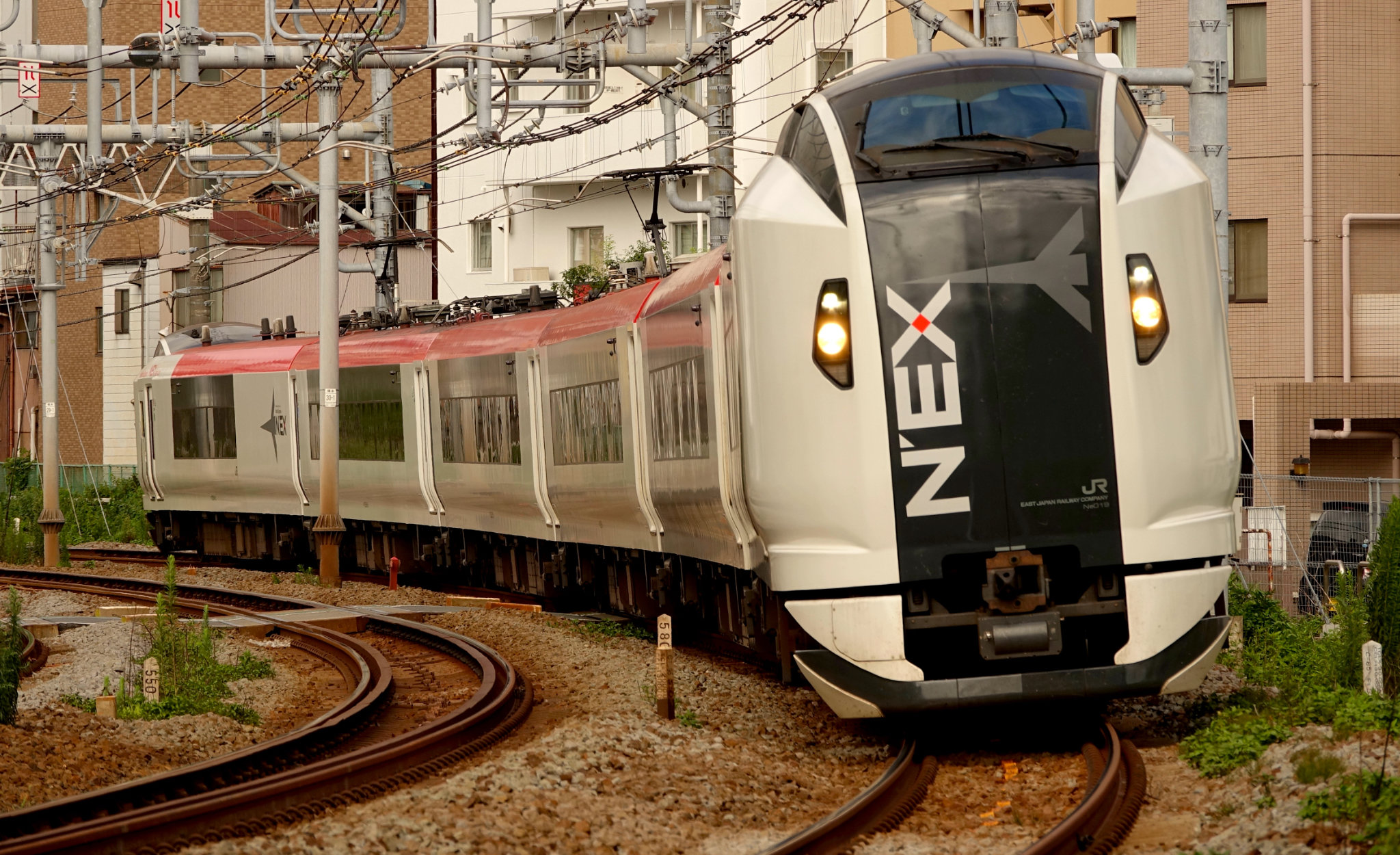JR E259系 Narita Express near Hodogawa station