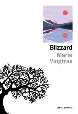 blizzard-4919785-264-432