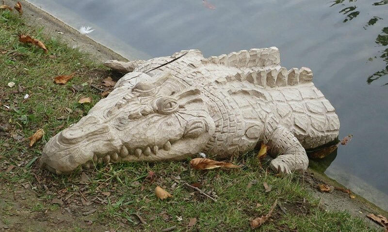 croc c