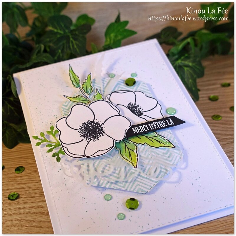 Carte Painted Poppies Blancs 3