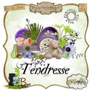 collab_tendresse_pv