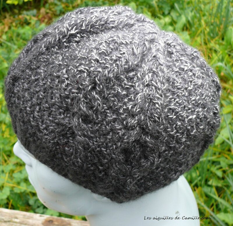 Bonnet Introspection 3