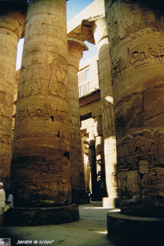 La salle hypostyle et ses 134 impressionnantes colonnes