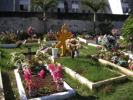 IMGP027