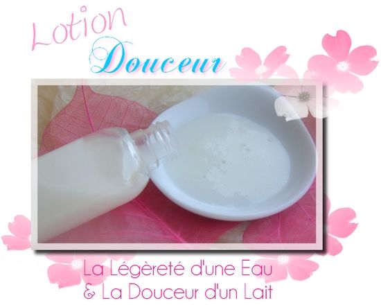 lotion nettoyante maison BIO