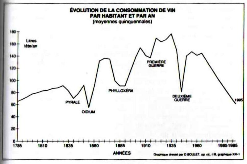 évolution consom Vin