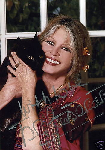 bb_autograph-animaux-chat-01