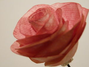 P1020505