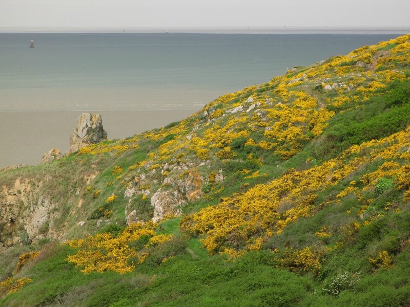 falaise-N2000-lande-ajonc-AP-6-1024x768