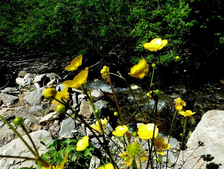 P1140975