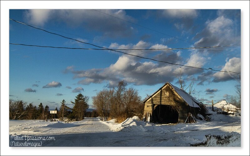 IMG_2642-1