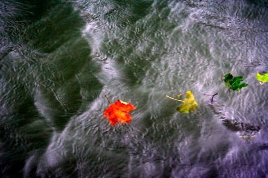 nature-2
