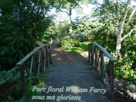 le petit pont de bois parc WF 2012