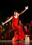 flamenco41