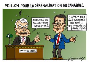 boulette web