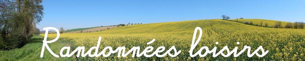 Organisation de randonnées pédestres au sein des clubs.