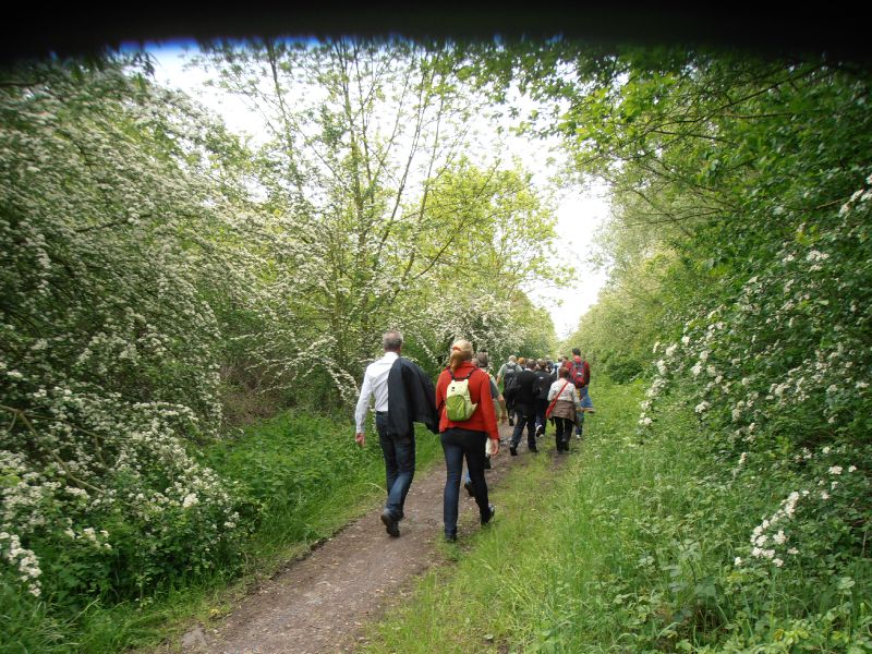 155 - Sentier de Saint-Ghislain - Terril du 18 du Grand-Buisson
