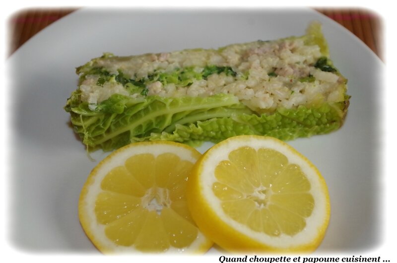 terrine fine au chou farci-4588