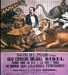 exposicion_bidel
