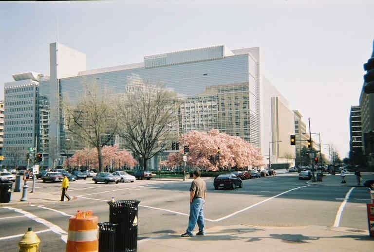 WB_cherry_blossom