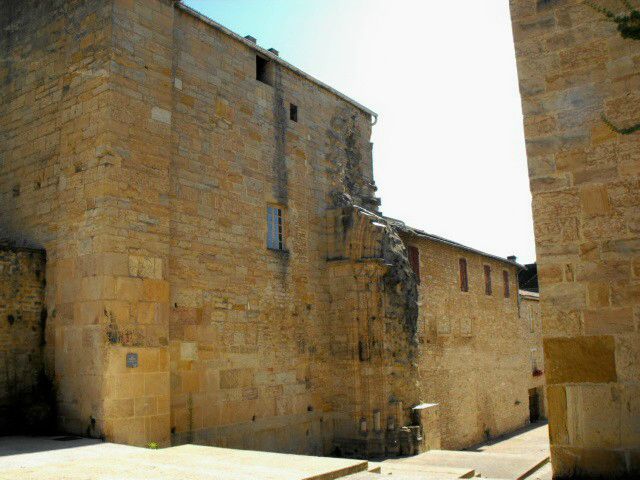 DSCF0191