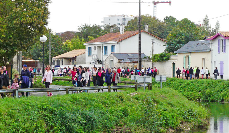 Marche cancer sein Niort 021022 13