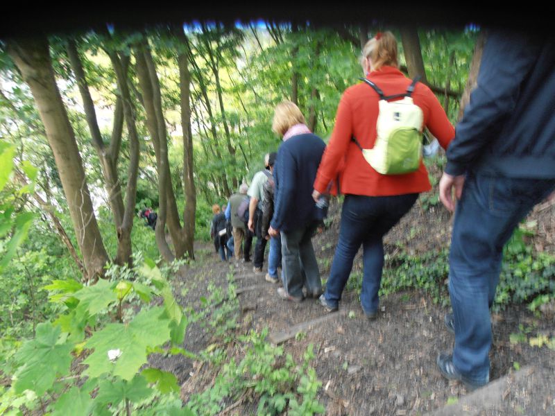 184 - Terril du 6 Hornu-Wasmes - descente