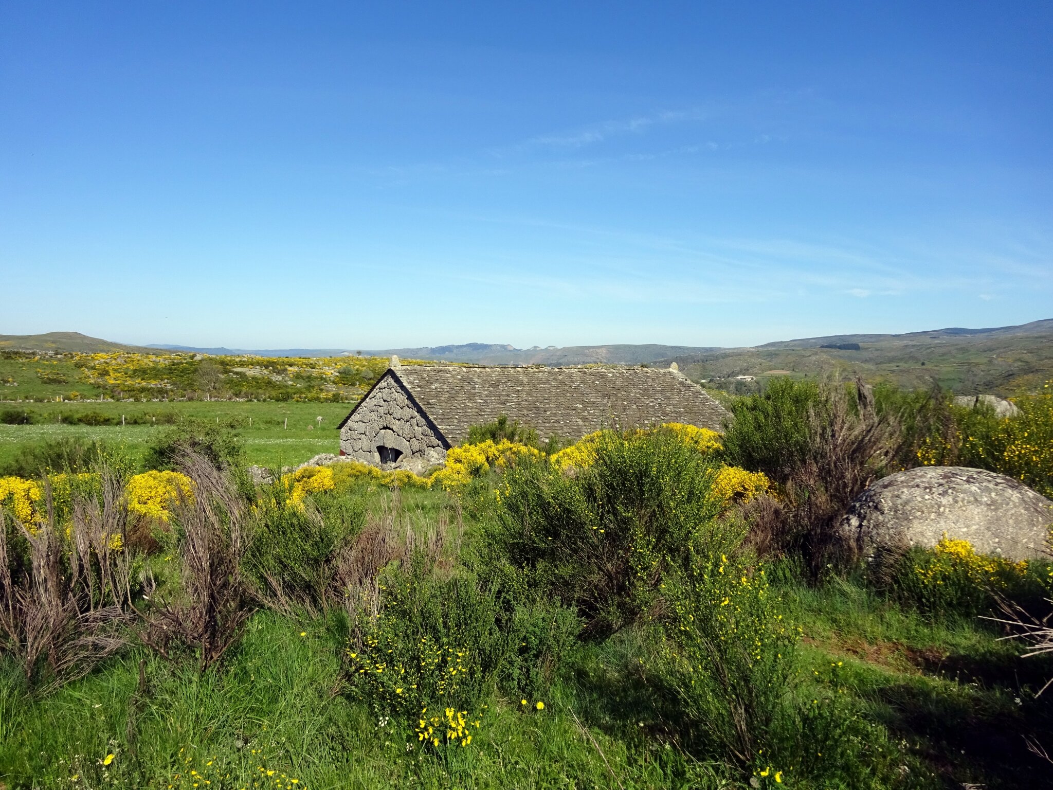 Bergerie 