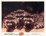 photo_13