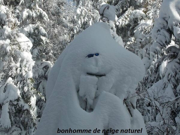 bonhomme de neige