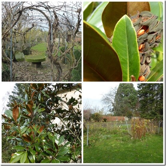 jardin 14 décembre 20201
