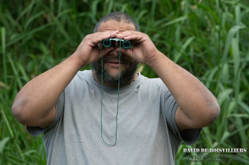 Mon guide aux aguets