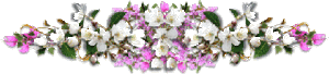 Gif barre gerbe fleurs roses et blanches 320 pixels