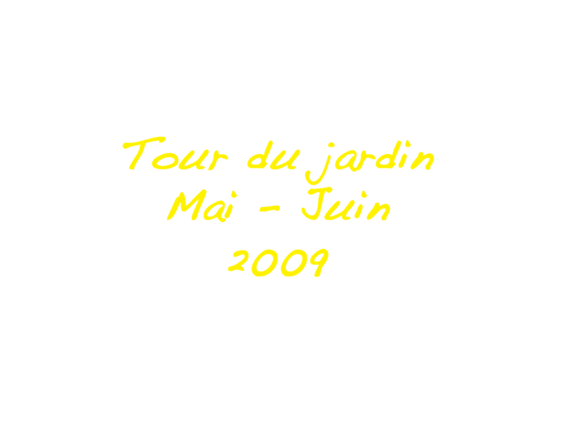 Mai-juin-2009