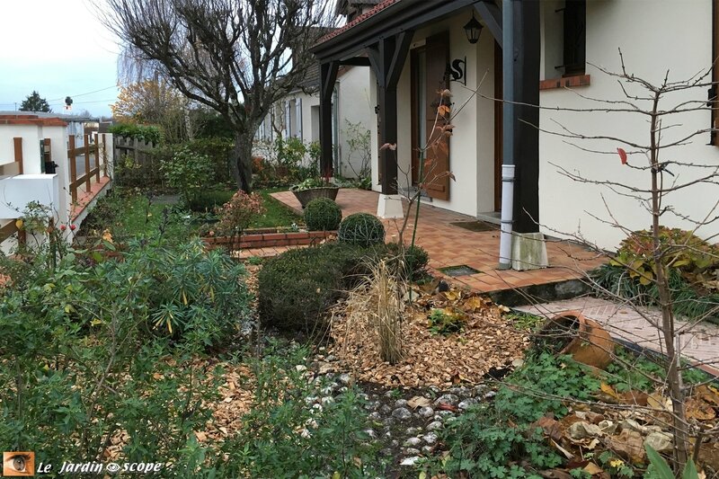 Jardin-d'hiver-2