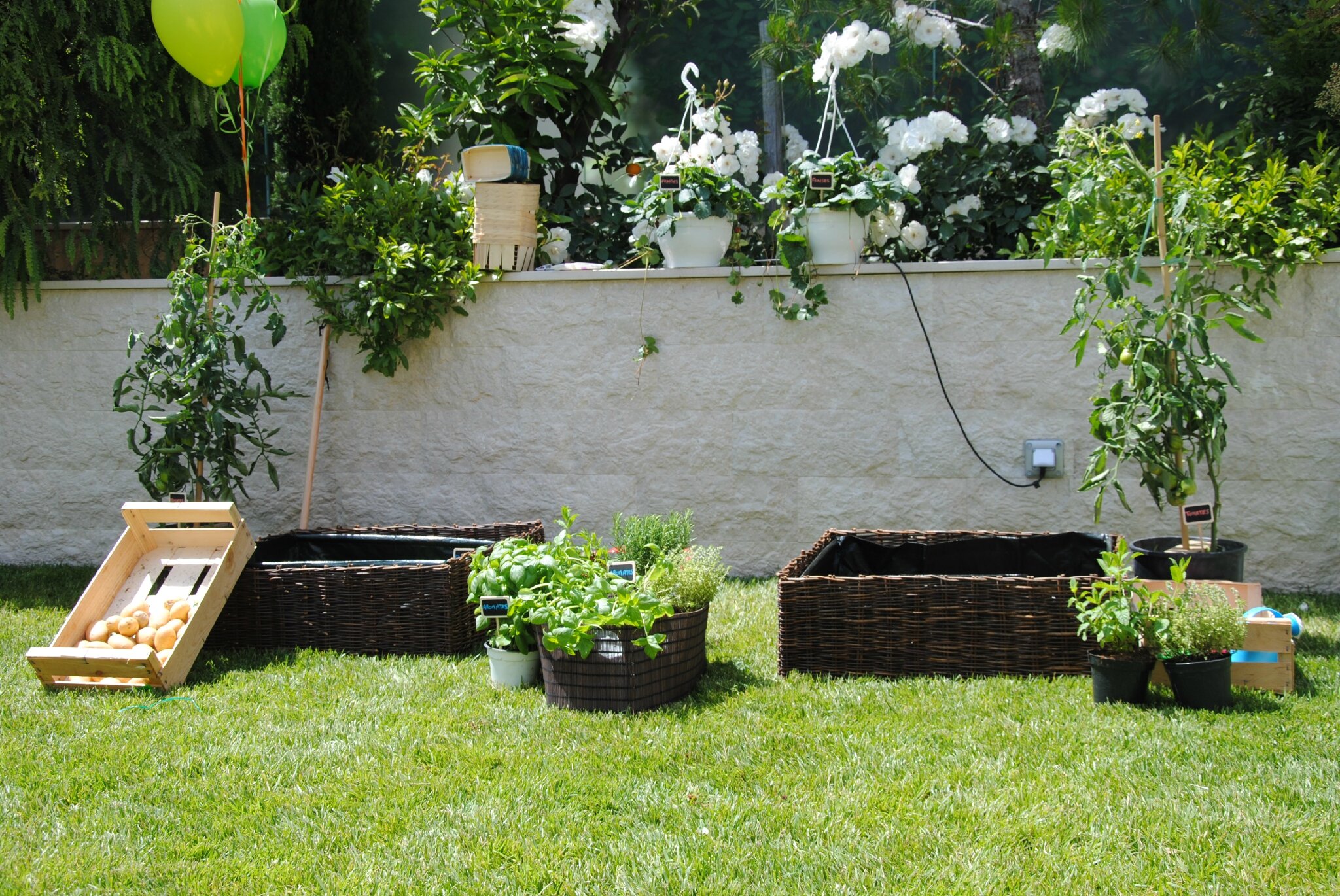 VEGETABLE GARDEN