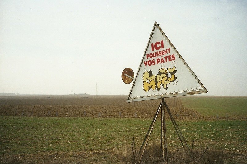 Entre Chartres et Orléans (45)