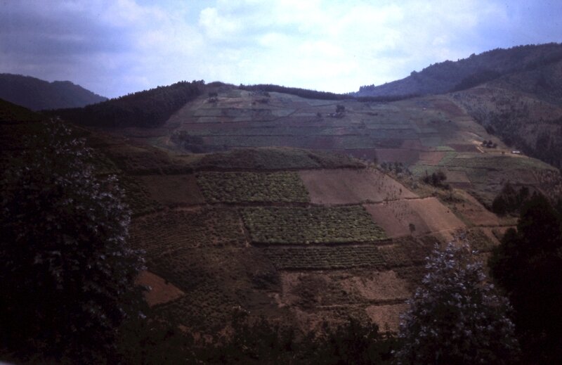 rwanda vallee 04