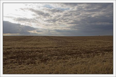 plaine_soir_voiture_120810