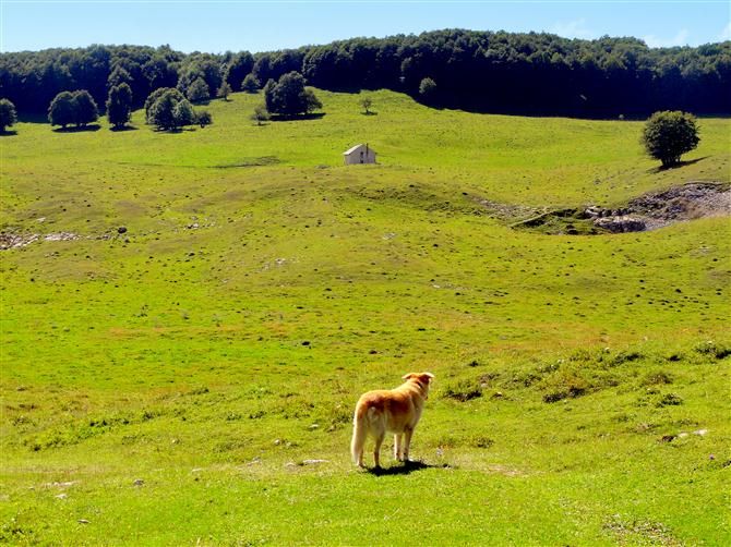 16_08_015_La_Grange___Lucien_Plateau_de_Retord__1___Custom_