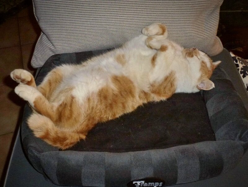 Garf4